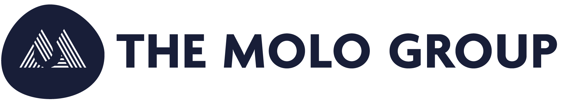 The Molo Group Logo